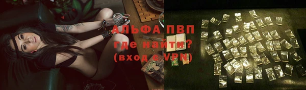 индика Пенза