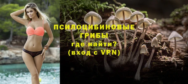 PSILOCYBIN Арсеньев