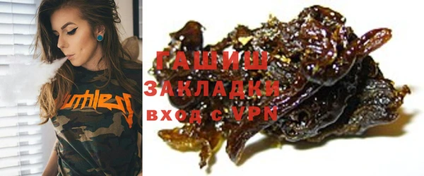 индика Пенза